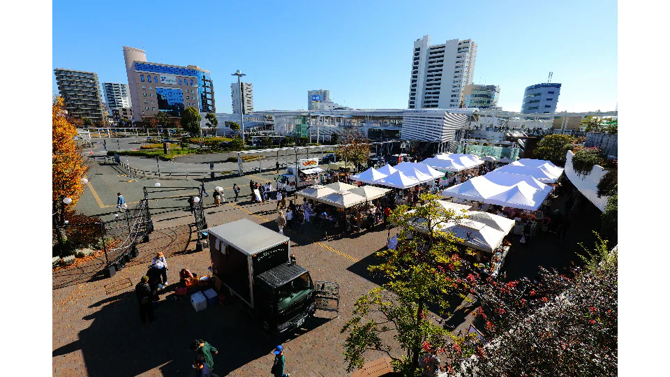 11/27 C Side Marche Report