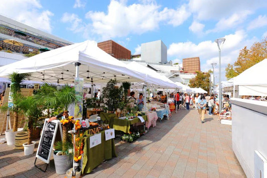10/28 & 10/29 C Side Marche Report