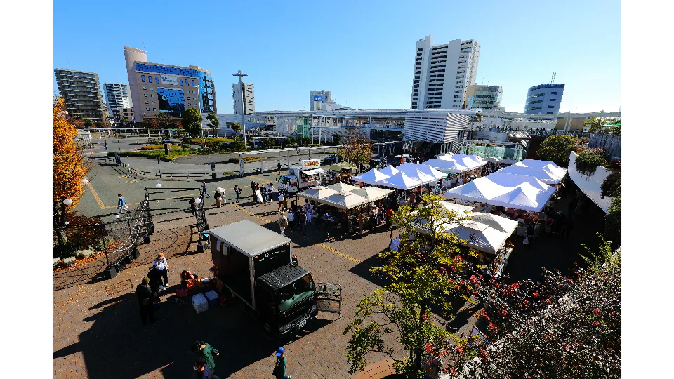 11/27 C Side Marche Report
