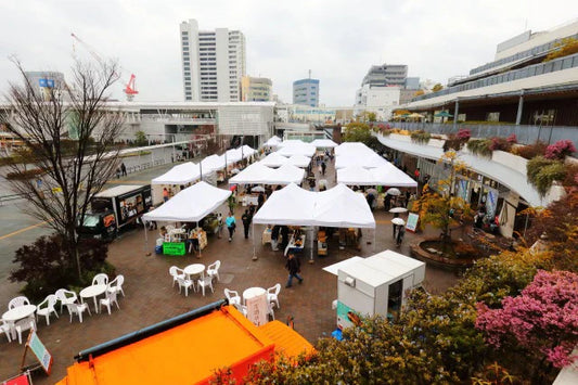 3/24 C Side Marche Report