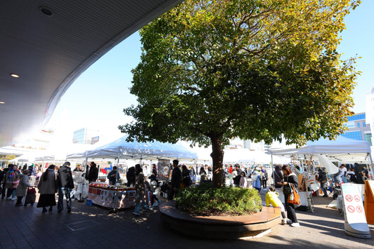 1/24&25   C Side Marche Report