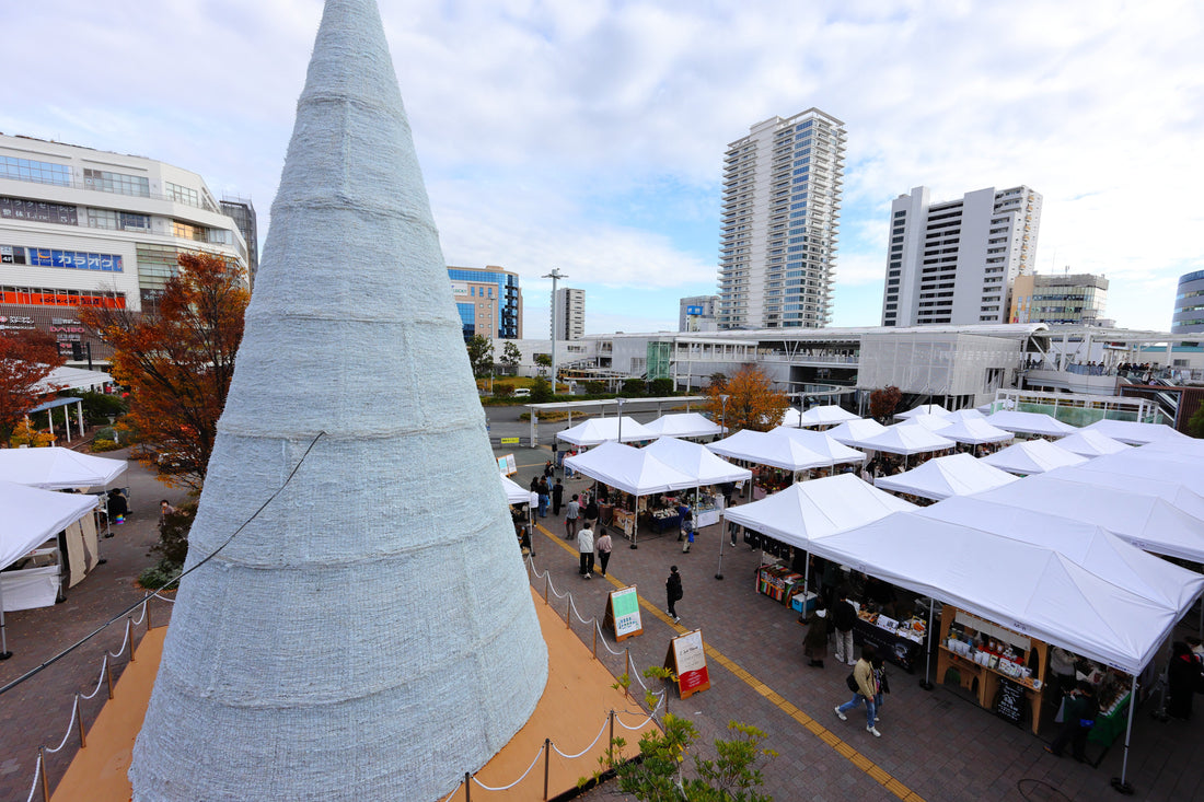 11/22&23   C Side Marche Report