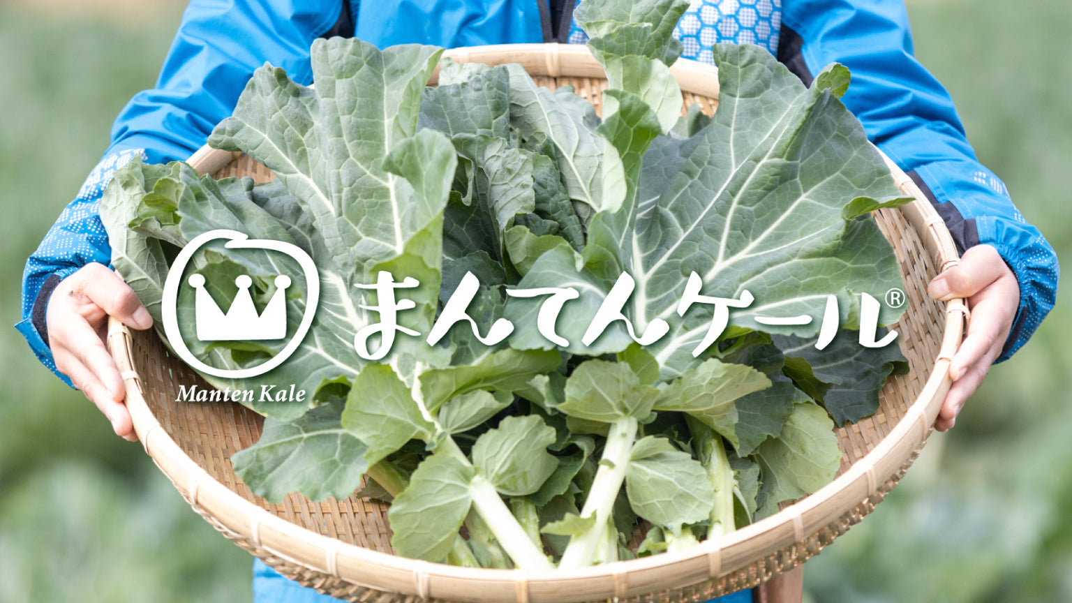 まんてんケール – C Side Marche