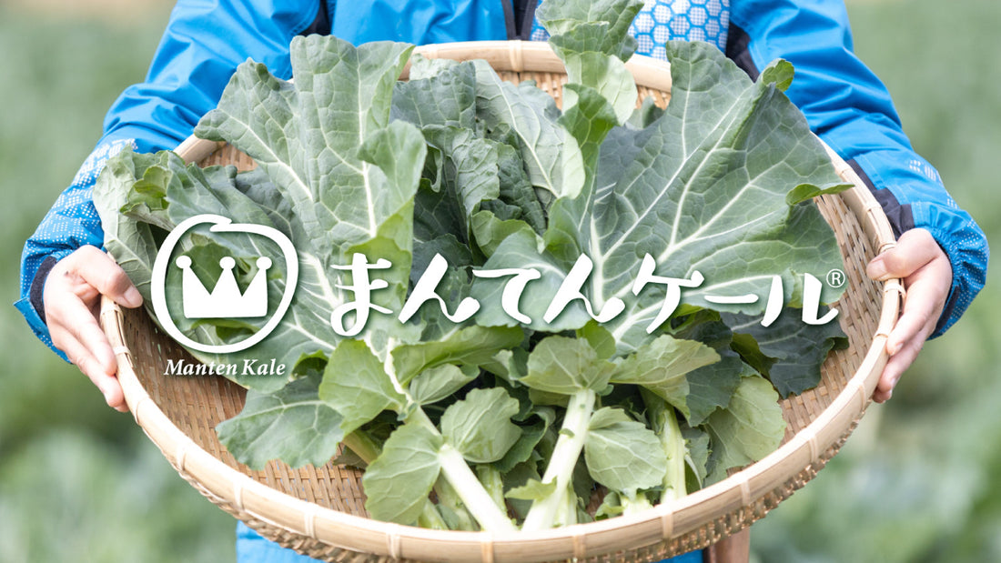 まんてんケール