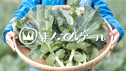 まんてんケール