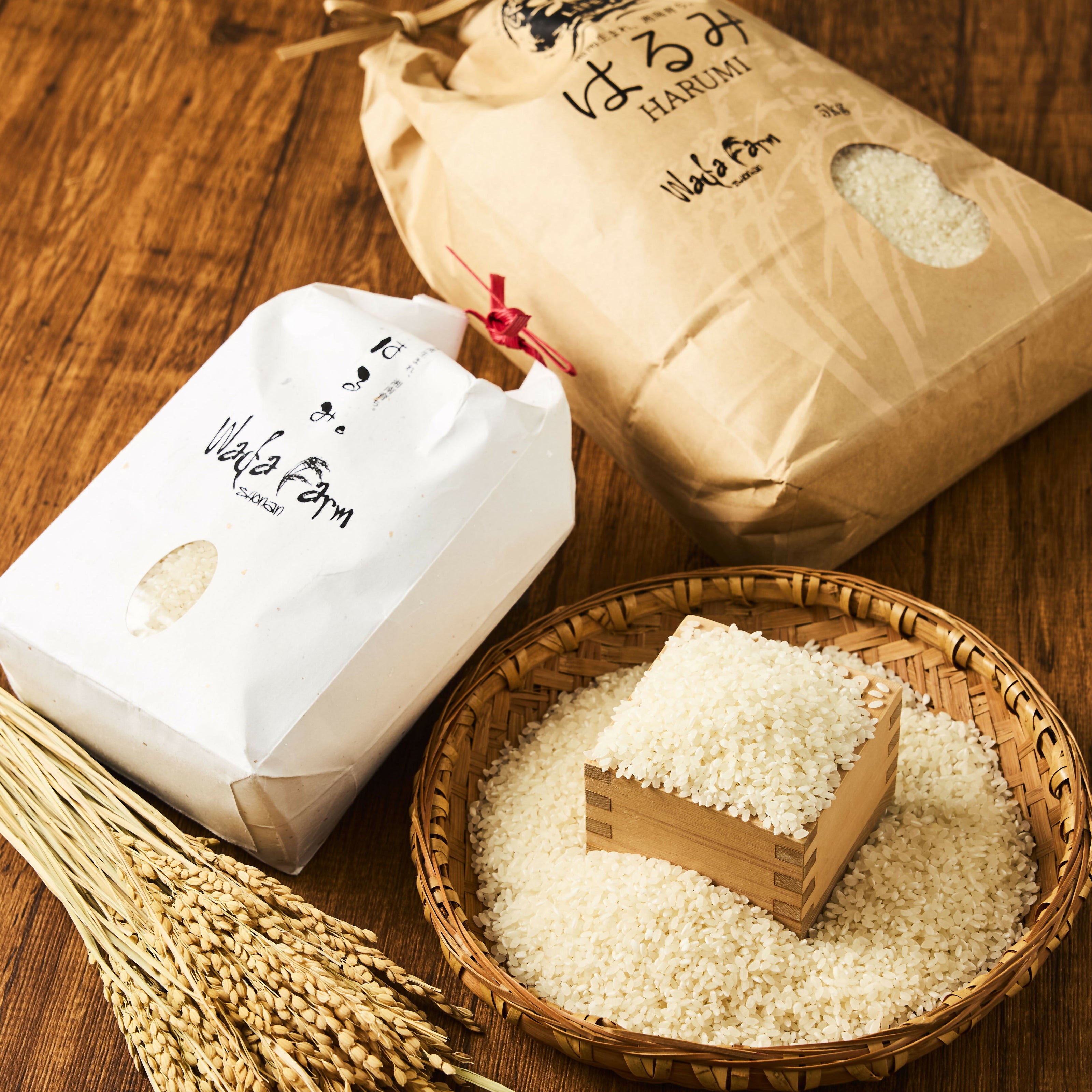 はるみ(令和7年度産)✴︎皇室献上米✴︎