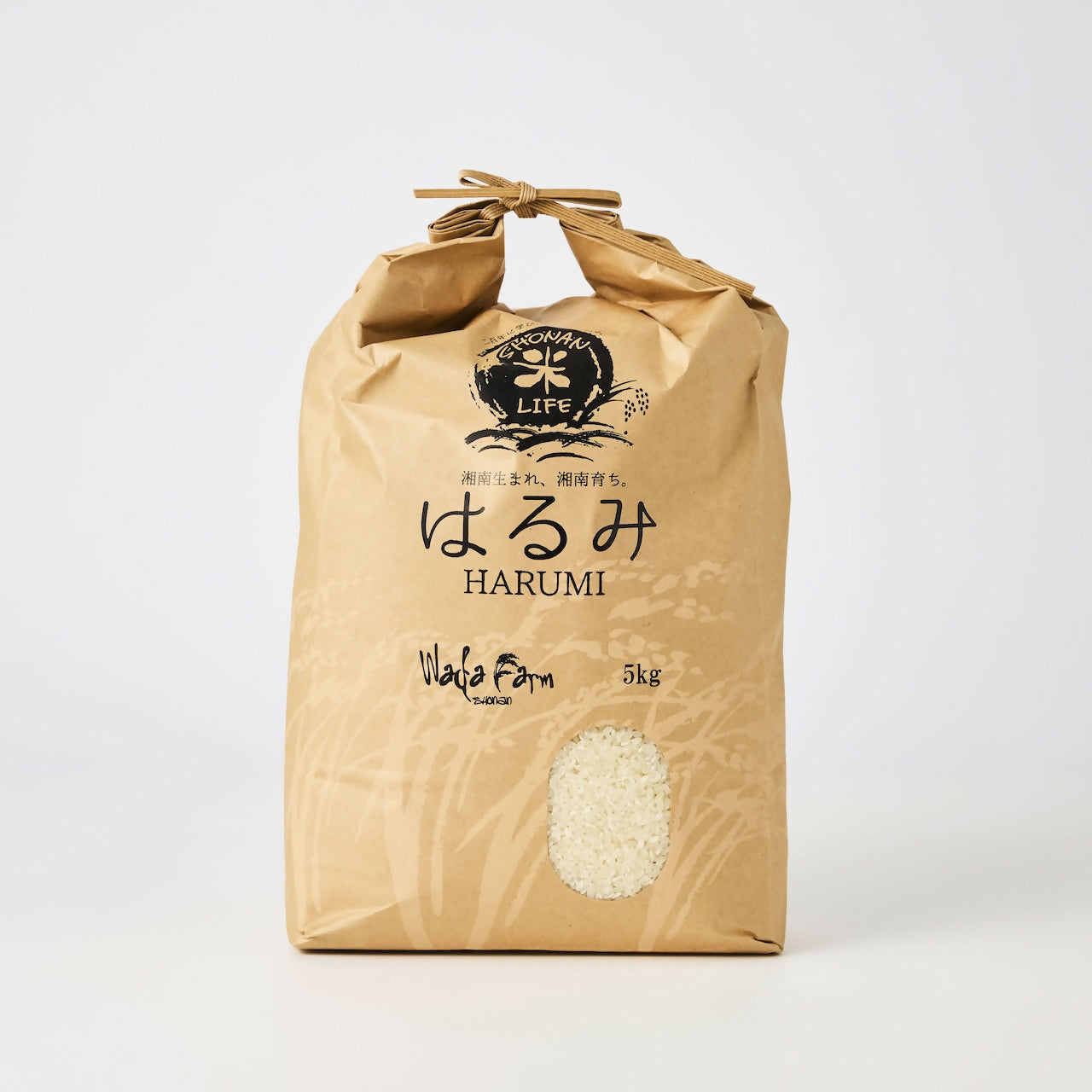 はるみ(令和7年度産)✴︎皇室献上米✴︎
