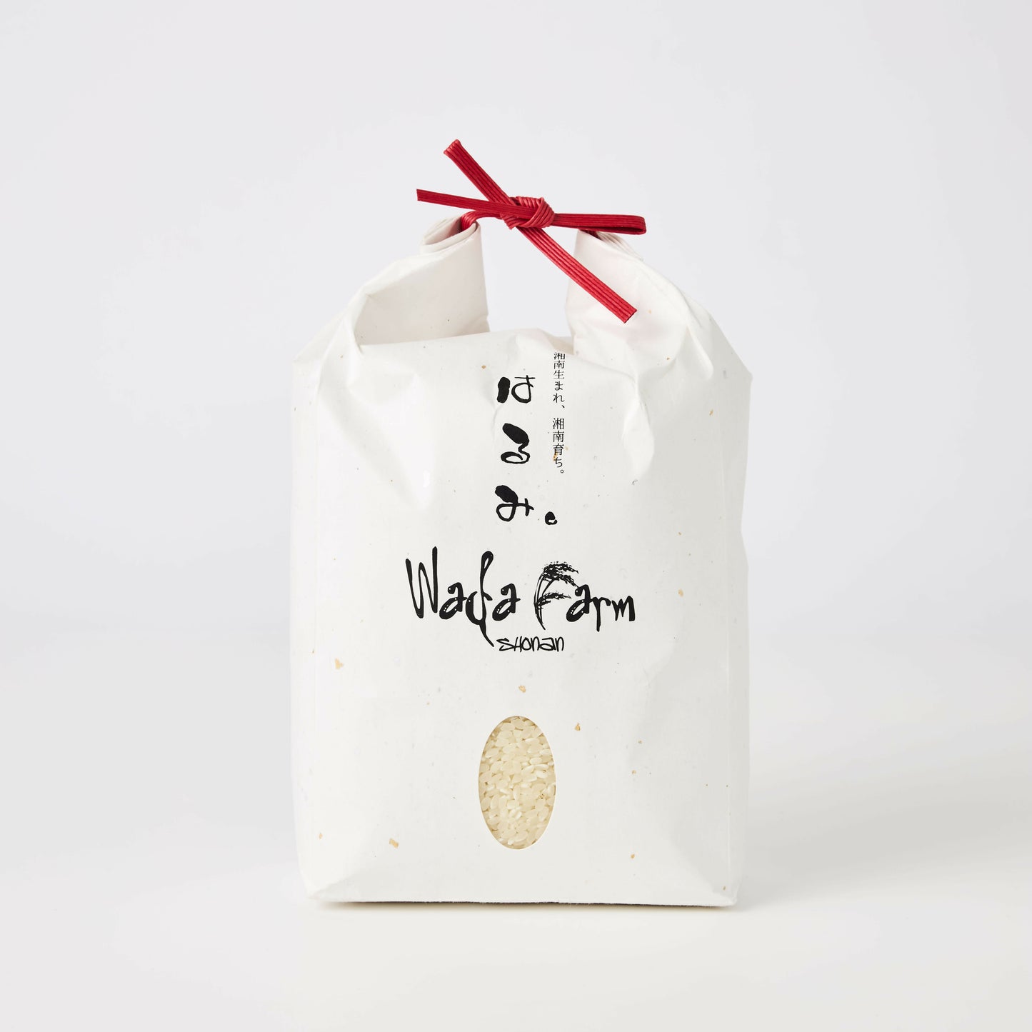 はるみ(令和7年度産)✴︎皇室献上米✴︎