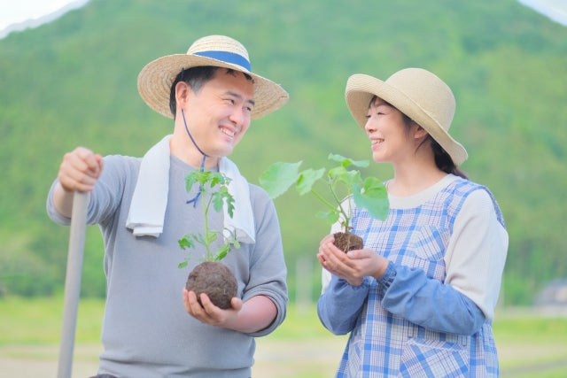 植物を持つ農場の夫婦