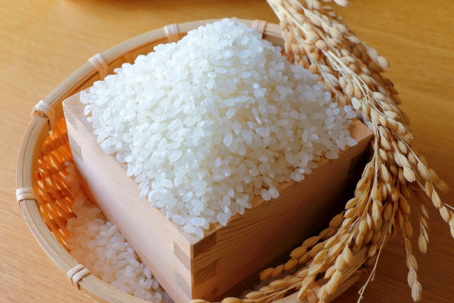 木枡に入った新鮮な白米